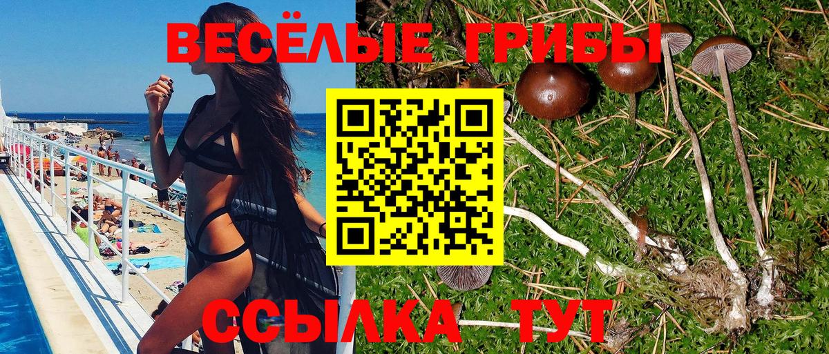 Галлюциногенные грибы Magic Shrooms Севастополь